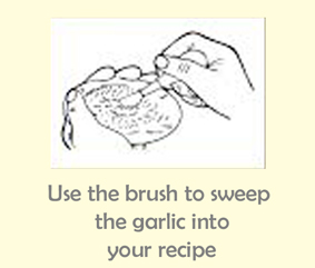 Buy food brush garlic grater plate UK